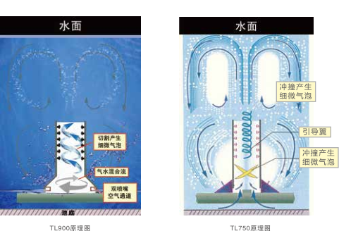 点点体育平台下载结构